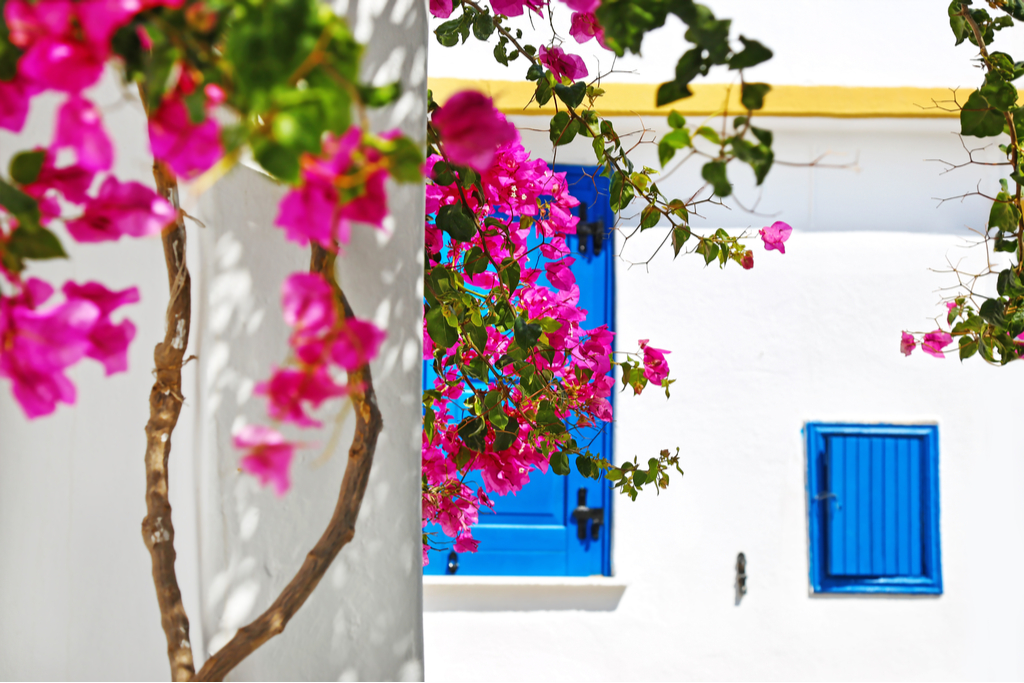 Koufonisia_Bougainvillea